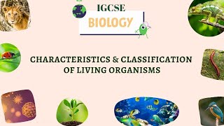 Characteristics amp Classification of Living Organisms  IGCSE Biology  Year 10 amp Year 11  Grade 10 [upl. by Waynant]