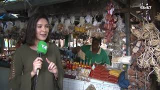 Feira da Messejana  O tradicional ponto de comércio em Fortaleza  Jornal da TVC  2ª Ed 110419 [upl. by Humo]