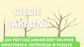 Cięcię jabłoni Jak przyciąć jabłoń żeby miała duże i smaczne jabłka [upl. by Nnylaj]