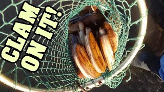 Predicting the best razor clam digging conditions [upl. by Atnoled]