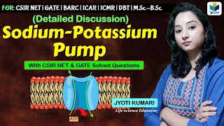 Sodium Potassium Pump in Hindi  Na⁺  K⁺  ATPase [upl. by Eckmann]