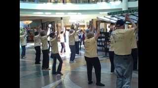 Flash mob  Ashby Ponds [upl. by Ayoted]