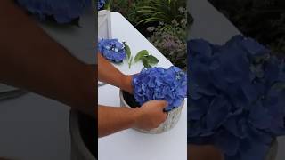 Let’s make a centerpiece using flowers from our garden 💐shorts diy flowers garden [upl. by Aisanat]