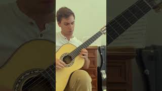 More of Aranjuez Concerto 💃🏻🤠 guitar music classicalguitar guitarsolo [upl. by Brook543]