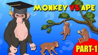 What is the Difference Between Apes and Monkeys  Educational Videos for Kids [upl. by Campagna169]