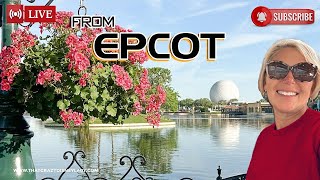 Epcot Veterans Day 111124 Park hop for flag retreat live [upl. by Leryt]