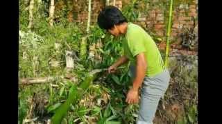 Khukuri for Use in General Life  How People Use Khikuri in Nepal [upl. by Ecerahs]