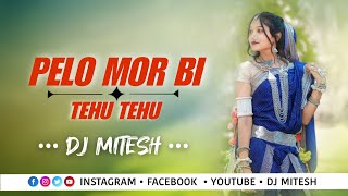 Pella Mor Bhi Tehu Tehu Aakhe Va  New Timli 2024  Dj Mitesh [upl. by Boote]