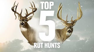 Top 5 Whitetail Rut Hunts Record Breaking amp Double Drops [upl. by Brozak390]