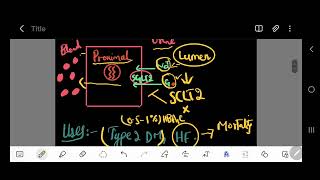 SGLT2 Inhibitors  SGLT2 inhibitors Mechanism Of Action And Side Effects [upl. by Akihsal]