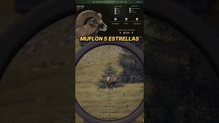 MUFLÓN 5 ESTRELLAS  WAY OF THE HUNTER shorts wayofthehunter [upl. by Dewhurst]