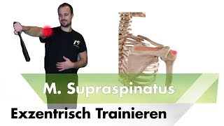 Exzentrisch training supraspinatus [upl. by Market]