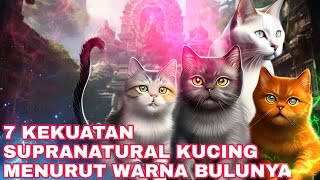 KUCING INI BIKIN KAYA DADAKAN7 KEISTIMEWAAN KUCING MENURUT WARNA BULUNYAKITAB PRIMBON JAWA KUNO [upl. by Rodge]