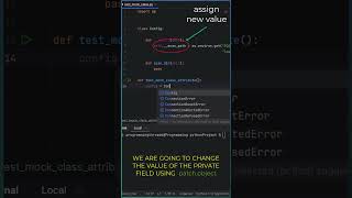 How to easily mock private class field names in Python using patchobject mocktest [upl. by Hultin]