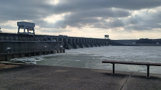 ARE THE SKIPJACK BACK AT KY DAM [upl. by Eenafit]