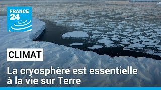 Les Pôles régulent le système climatique terrestre Leur défense est essentielle • FRANCE 24 [upl. by Red]