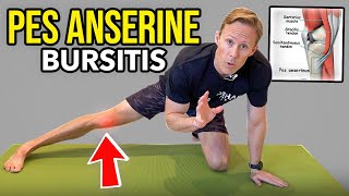 Pes Anserine Bursitis  Knee Rehab Exercises [upl. by Adallard191]