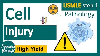 Cell Injury  Reversible vs Irreversible cell injury  General Pathology Animated USMLE step1 [upl. by Aisya997]