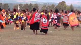 HRH Principal Princess Sikhanyiso Solo Reed Dance [upl. by Wrigley374]