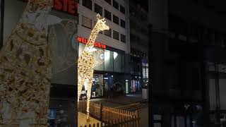 75 Essener Lichtwochen  Porschekanzel essen ruhrgebiet city light night shopping animals [upl. by Ahsinned]