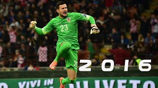 Danijel Subasic 20152016 HD ● Bests Saves ● AS Monaco [upl. by Risan]