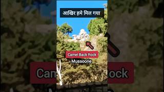 😲Camel Back Rock Mussoorie 🐪 camelback Mussoorie uttarakhand trendingshorts [upl. by Ilahsiav270]