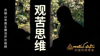 观苦思维  阿姜阿南开示 翻译中文版 [upl. by Ahsiki]