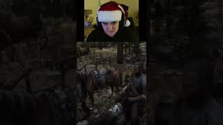 My Horse is Glitch lol glitch horse rdr2 lgbt [upl. by Nilhsa]