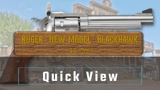 Quick View Ruger quotNew Modelquot Blackhawk StainlessSteel 45 Colt [upl. by Baecher458]