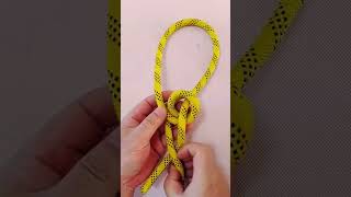 This rope knot very easy shorts knot diy easyknot DoiT03 [upl. by Lind317]