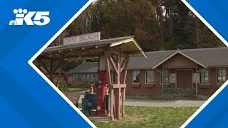 Historic cabins at beloved state park may be closed forever [upl. by Noiramed]