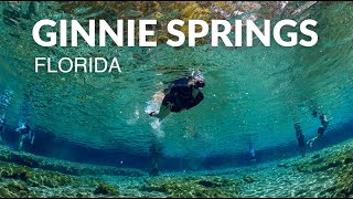 Ginnie Springs Florida [upl. by Olympium]