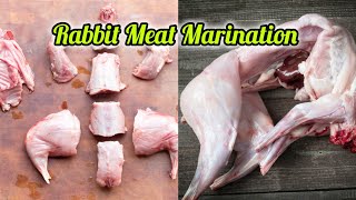 Rabbit Meat Marination  خرگوش کا گوشت بنانے کا طریقہ  خرگوش کو باربی کیو کرنے کا طریقہ [upl. by Nitnerb]