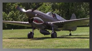 P40 Warhawk Hop 1 of the Day [upl. by Inah]