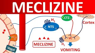 Meclizine for vertigo and motion sickness [upl. by Anagnos306]