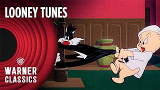 Looney Tunes  Scaredy Cat 1948 Full Episode  Warner Classics [upl. by Aicnetroh]