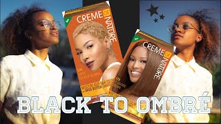 How To Dye Natural Hair Crème of Nature Hair Dye NO BLEACH [upl. by Uta]