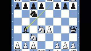 Chess Openings Scotch Game [upl. by Xonk579]