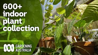 Touring a couples 600 indoor plant and cacti collection  Indoor plants  Gardening Australia [upl. by Winson]