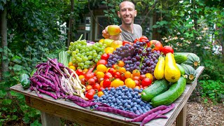 Unbelievable Organic Garden Harvest This is What I Harvested Today [upl. by London]