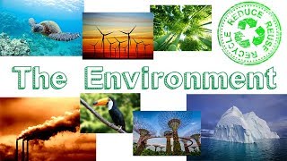 The Environment  Learn English [upl. by Yeldahc]