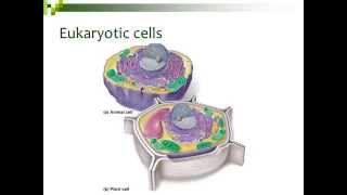 BI177 Chapter 4 General Features of Cells  Part 3 of 5 [upl. by Josey]