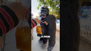 Kingkong Raksasa dikasih minum es teh jus [upl. by Os919]