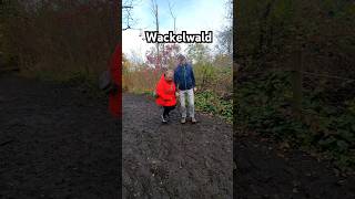 Wackelwald  DAS ist krass 😱 wackelwald vlog shorts ausflugstipps [upl. by Acirretal626]