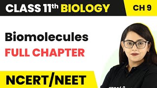 Biomolecules  Full Chapter Explanation  Class 11 Biology Chapter 9 [upl. by Esiom]