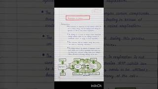 Respiration in Plants Notes  Class 11  NEET  CBSE  HSC  MHT CET neet biology class11 shorts [upl. by Eeluj966]