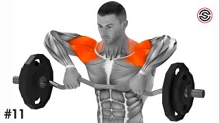 The Best Shoulder Exercises  BarbellDumbbell Only [upl. by Saberhagen]