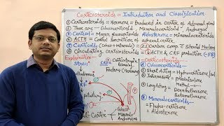 Corticosteroids Part 01  Introduction and Classification of Corticosteroids  Corticosteroids [upl. by Haikan]