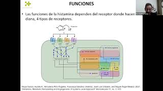 Webinar 6 Histamina histaminosis y alergia una visión integrativa por Iker Martínez Pérez [upl. by Bernadette811]