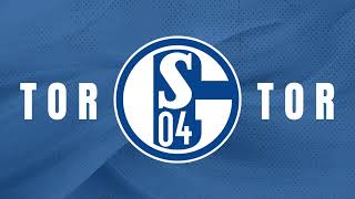 FC Schalke 04 2025 Goal Song [upl. by Weslee]